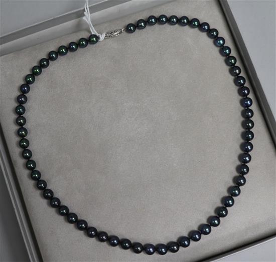 A 1980s single strand cultured Tahitian pearl necklace with 9ct white gold clasp, 44cm.